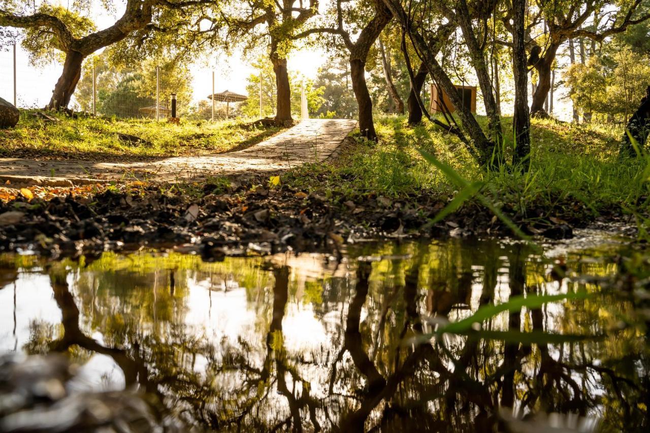 Albergue Inturjoven Cortes De La Frontera Bagian luar foto